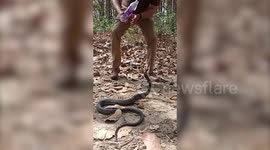 Forest official helps parched snake quench its thirst in northern India