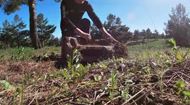 Clever Girl! Lizard Out Smarts Wildlife Photographer With Daring Escape!