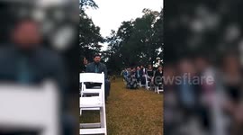 Adorable 'pups-eye-view' of a dog being ring bearer at its owners' wedding - but couldn't resist stopping for a few cuddles on its way down the aisle