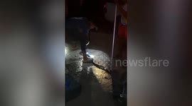 Snake rescued after getting stuck inside pipe in Thailand
