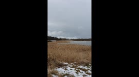 Snow and wind over a lake with reedbeds and waterfowl