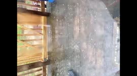 US: Severe Thunderstorm Moves Into Kentucky With Marble-Sized Hail