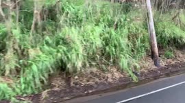 Landslide cleanup in hawaii after flash flood on Oahu road clearing after flood