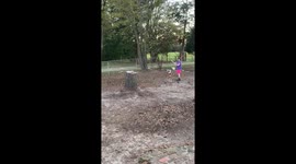 Dog tricks
