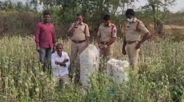 Authorities seize opium worth $27,578 in southern India
