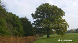 Difference between meteorological and astronomical seasons