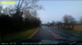 Starling Murmuration Caught on Dash Cam in the UK
