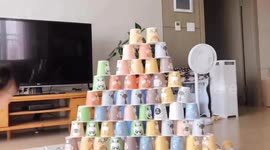 Covid-19 situation, playing house-poke. Paper cups to build walls and knock them down