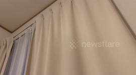 Japan earthquake: Watch and listen as building shakes and rattles in Tokyo