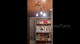 Japan: Strong earthquake triggers tsunami warning in Tohoku region