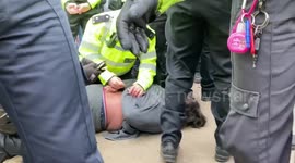 Anti lockdown protester forcibly arrested at Hyde Park
