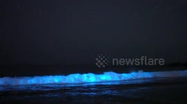 Spectacular glowing waves crash onto California beach