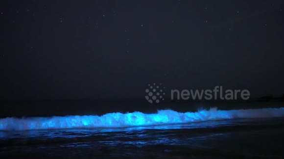 Spectacular glowing waves crash onto California beach