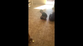 Babies or robots? Battle for future of humanity plays out as infant rides robot vacuum