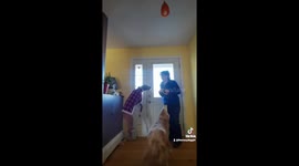 Quirky dogs go crazy with excitement when their dog walker shows up