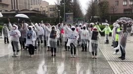 Protesters stage 48-hour strike in Japan against Myanmar's military coup