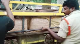 Indian police seize 800kg of marijuana smuggled in truck compartment