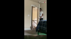 Dog left baffled by owner's hiding spot and he conceals himself behind door