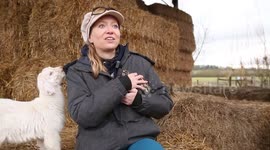 Adorable baby emu rejected by its parents is now being raised by humans - and has struck up unlikely friendship with baby GOATS born just days before it