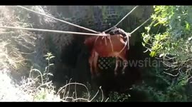 Cow that fell in 40 feet deep well has been air lifted and rescued safely in Southern India