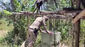Stray dog rescued after falling into 16ft deep abandoned well in Thailand
