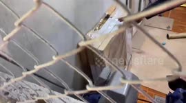 King cobra caught inside home in southern Thailand