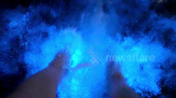 Stunning bioluminesce water in southern California returns to dazzle and satisfy