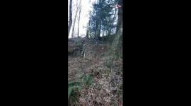 'Mountain Biker Flips Over While Cycling Down a Hill'