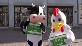 Cow and a chic rally on Old Arbat on International Day Without Meat in Moscow