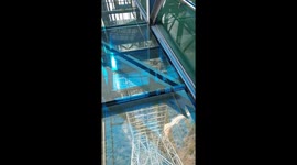 Visitors experience walking on a glass bridge at an altitude of 2,000 meters in Vietnam