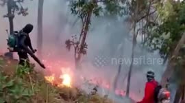Wildfires ravaging northern Thailand could be dampened by summer storms