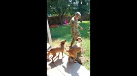 Dogs give an amazing welcome to the soldier on homecoming || WooGlobe