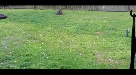 US: Tornado-Warned Storm Pummels Texas With Large-Sized Hail 2