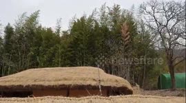 Traditional South Korean culture and thatched house during the Joseon Dynasty.