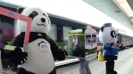 China's first panda-themed tourist train starts trial run