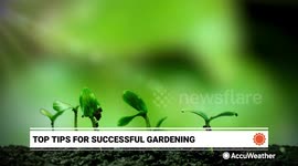 Top tips for successful gardening