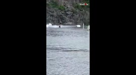 'Hilarious Surfing Fail Overshadows an Otherwise Awesome Session'