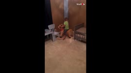 'Toddler Loses Balance on Rocking Horse and Crashes into the Wall'