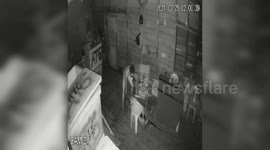 CCTV captured the act of thieves in underwear breaking into the fish warehouse floor in Indonesia