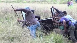Team of wildlife officers save leopard trapped in snare in Sri Lanka
