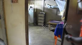 Giant king cobra found next to old lady's bed in Thailand