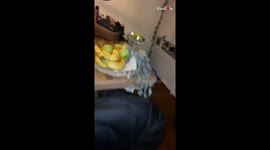 'Friends Play Baseball with an Apple & Houseplant (Goes Wrong)'