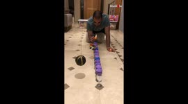 'Ping Pong Ball Bounces Off 50 Cups While Avoiding Obstacles'