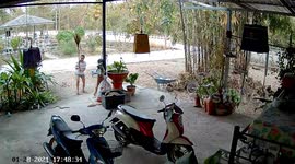 Woman hits cobra with broomstick after it creeps up on her on driveway