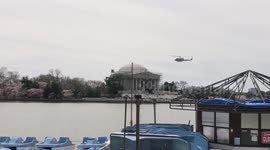 Helicopter flying over the Tidal Basin during near peak cherry blossom season 2021.  The NPS has threatened to close off the area if too many people come visit.  So far, it remains open as of 5pm March 17.  Paddle boat rentals cannot be open during sherry