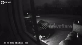 Woken up by Foxes fighting on the doorstep at 5am in the morning in Ramsgate