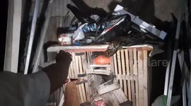 Residents Evacuate Python Snakes Into A Chicken Cage In West Jakarta. Indonesia