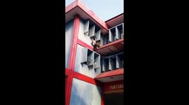 Indonesian firefighter scales building to rescue cat trapped on third storey