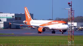 easyJet Plane Hits Two Birds during Takeoff (Birdstrike)
