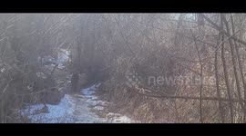 Icy Woodland Path Alongside River Deep In The Woods Filmed On Phone